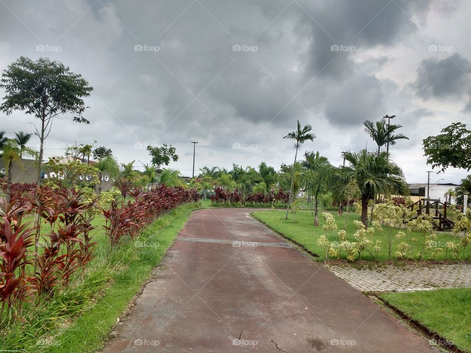 Empty path along with tree in park