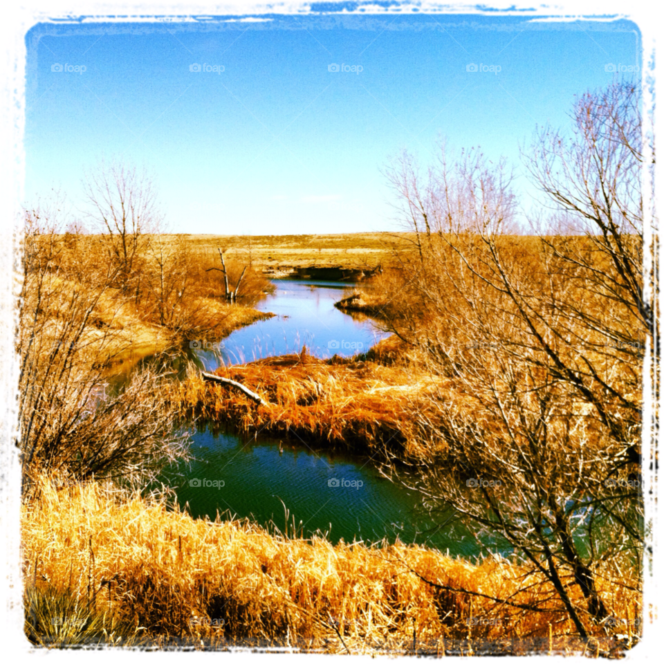 grass trees water lake by kevinray