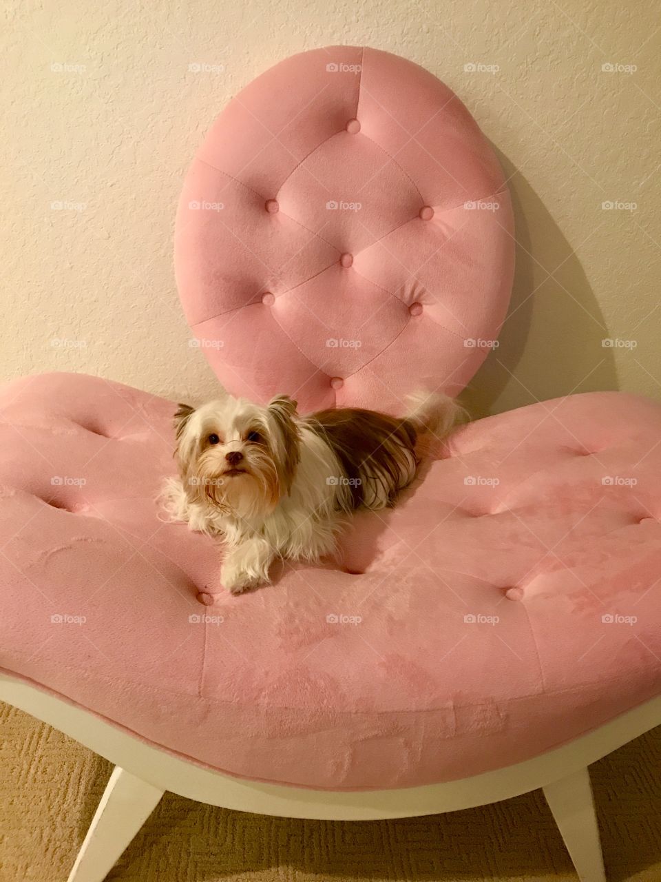 Queen on her throne 