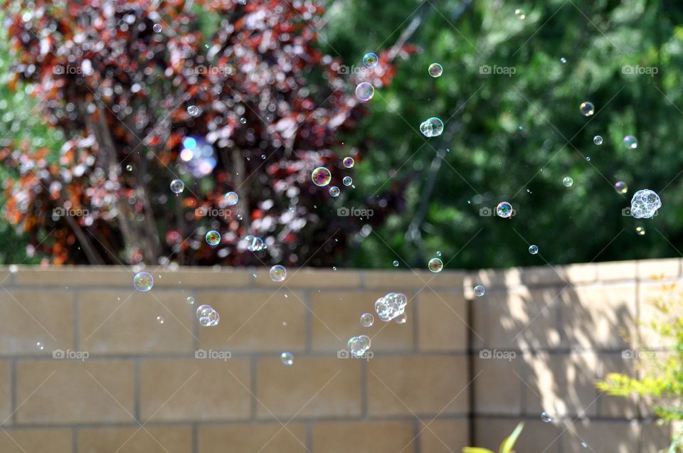 Bubbles