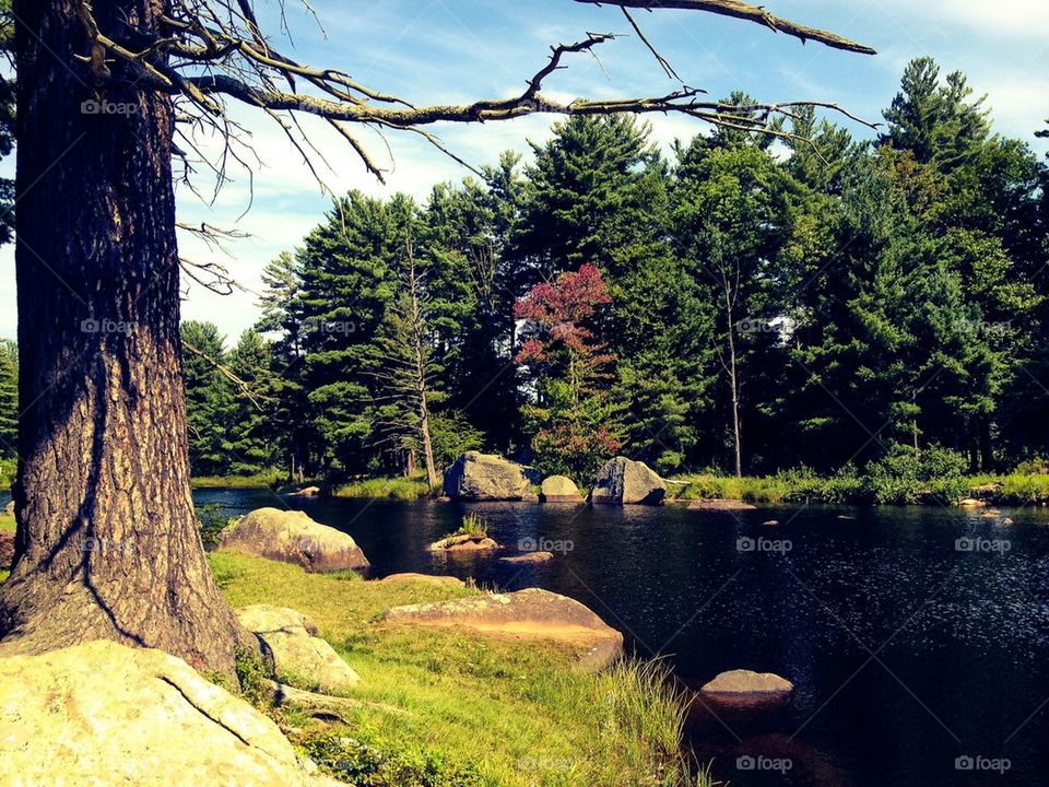 Solitude by the stream