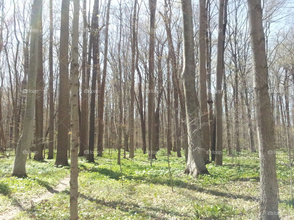 nature preserve. local nature preserve