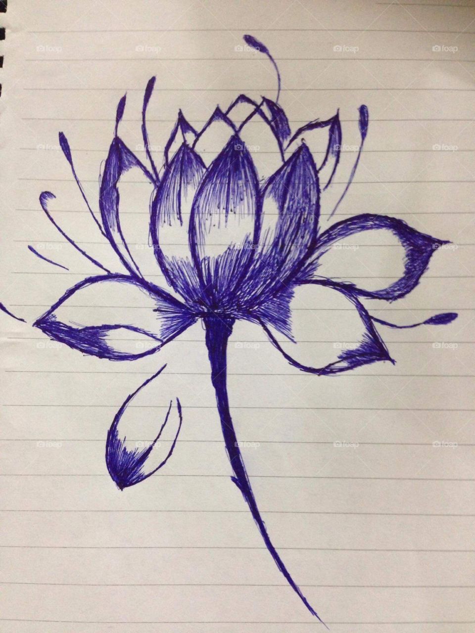 Drawing lotus