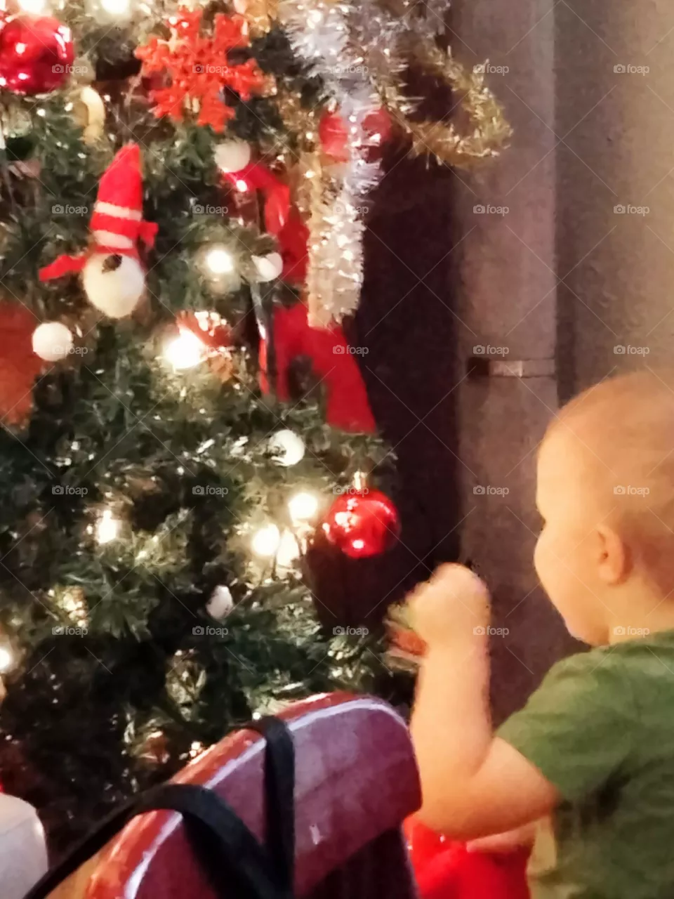 decorate the tree