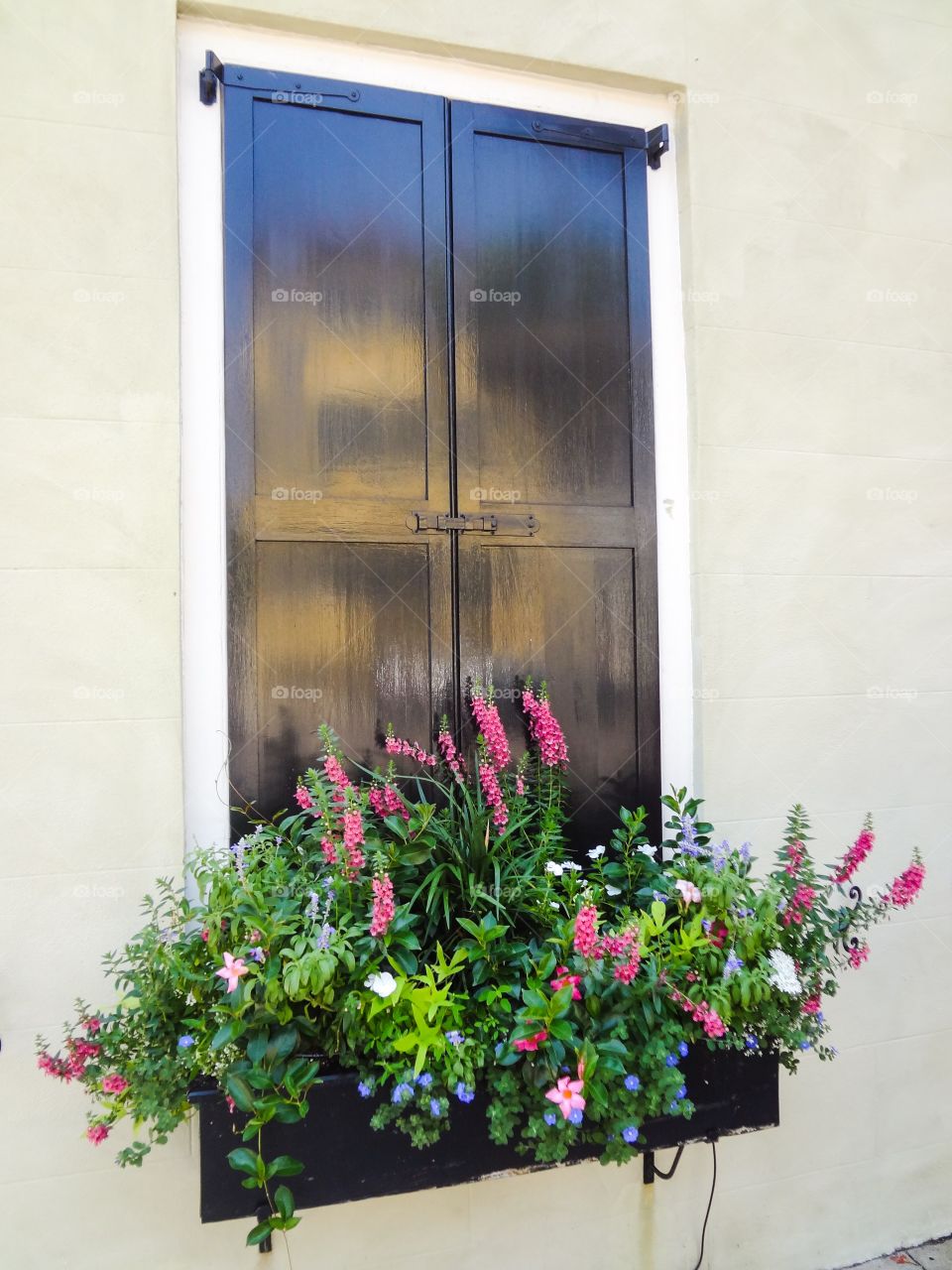 Charleston Window and Window Box