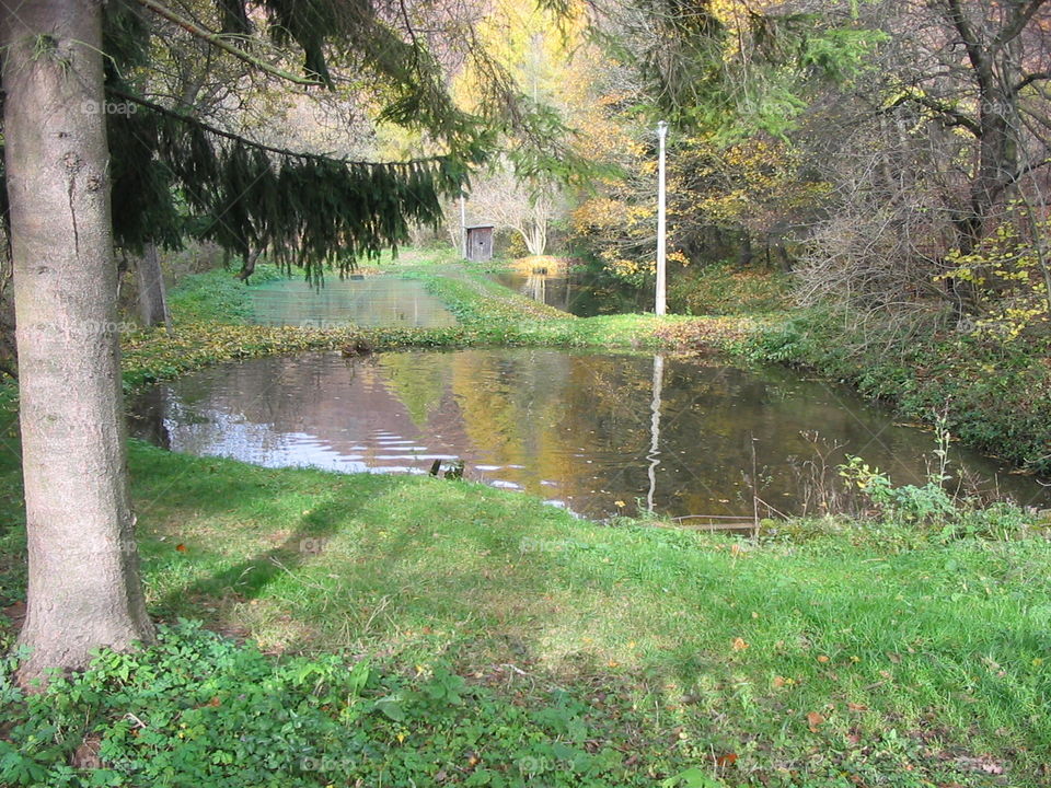 Small pond in Austria