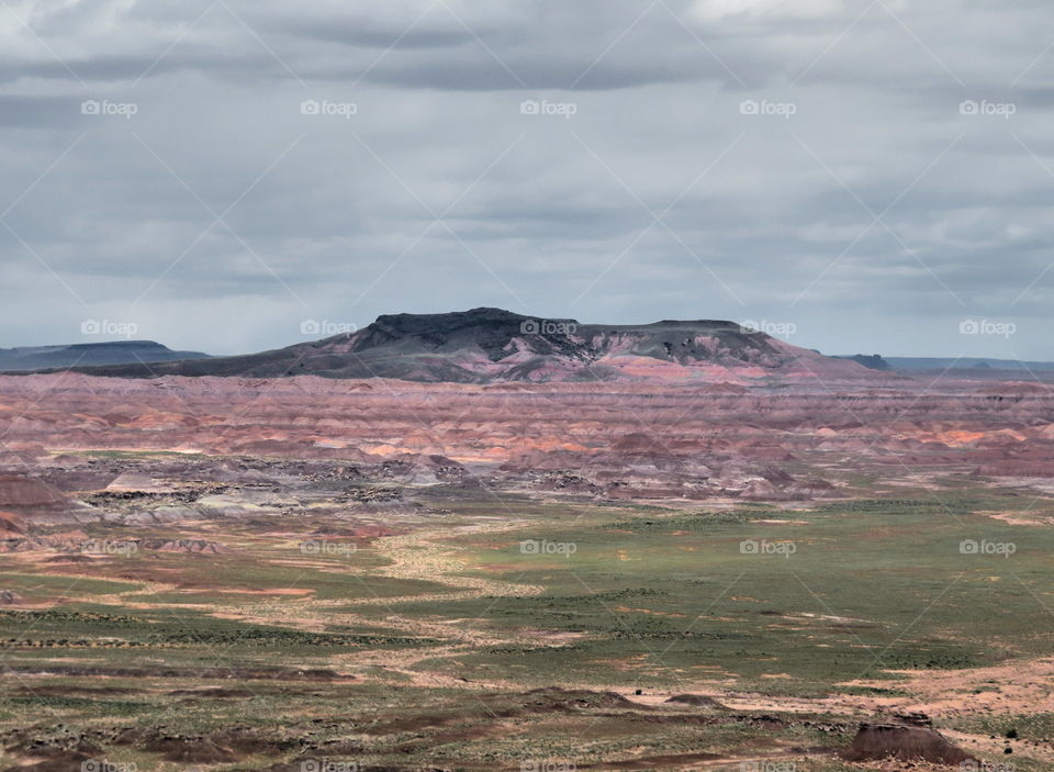 Painted Desert