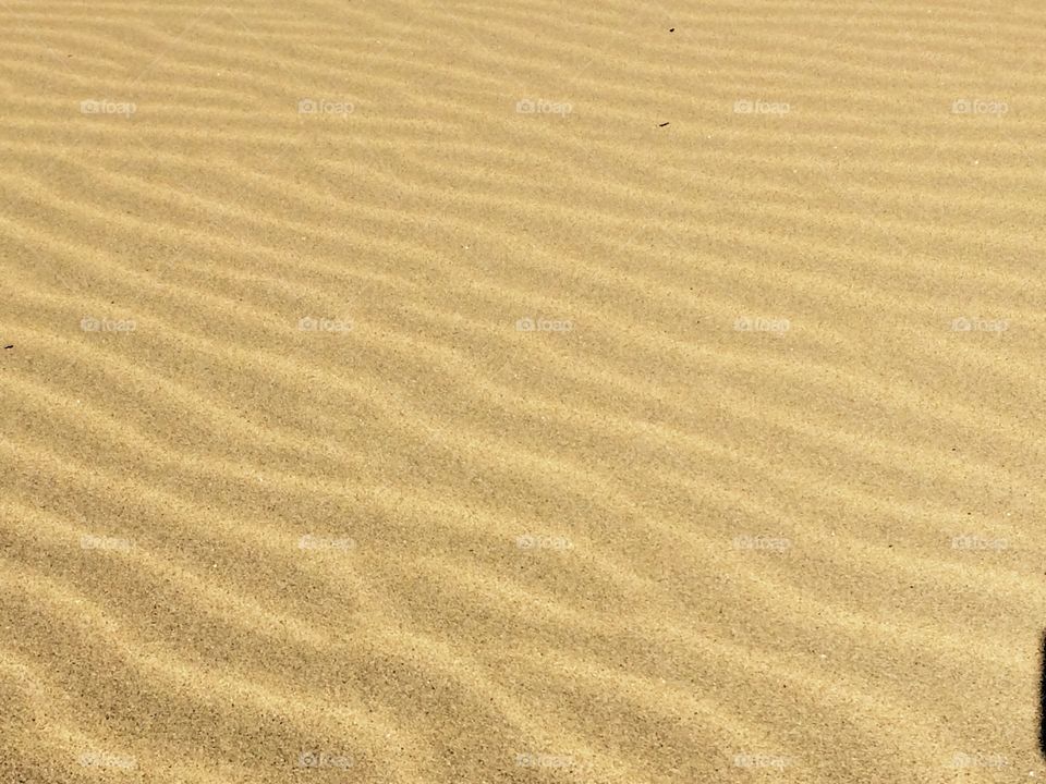 Ripples in sand dune