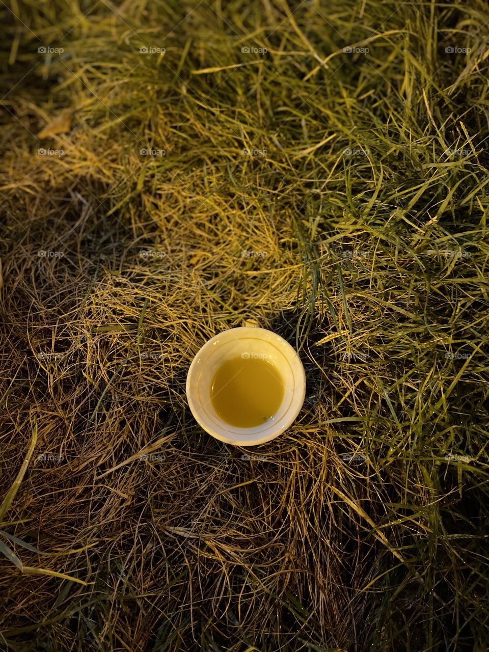 I went for a walk in the modest, beautiful and quiet neighborhood park