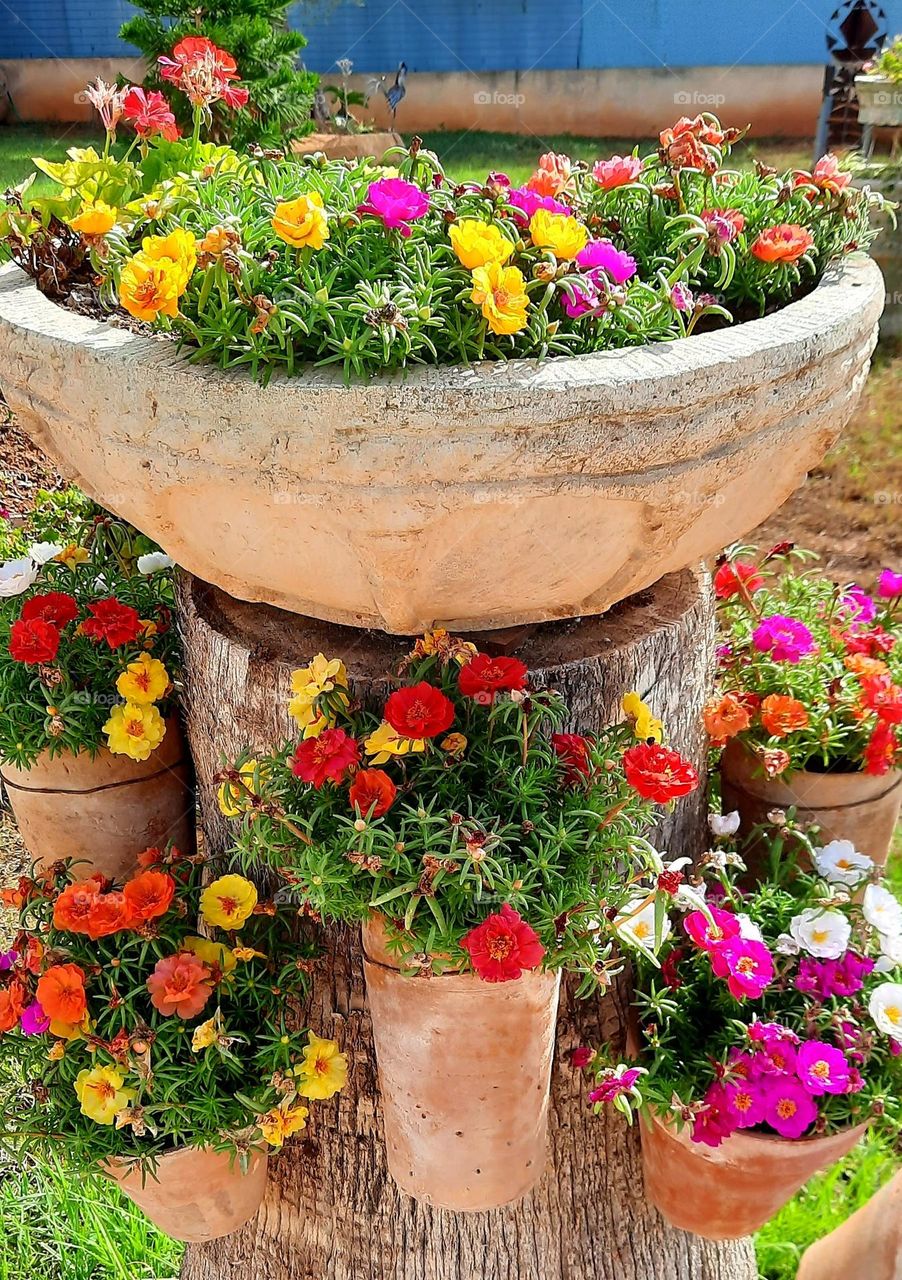 A beautiful floral corner whose base is a felled trunk of a palm tree that was used to create this colorful set of rustic pots full of flowers.