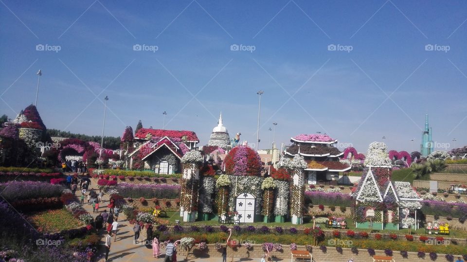 Miracle garden views