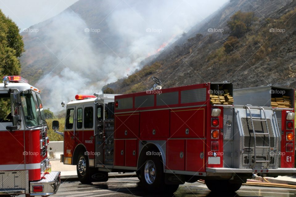 field light yellow nature by hlehnerer
