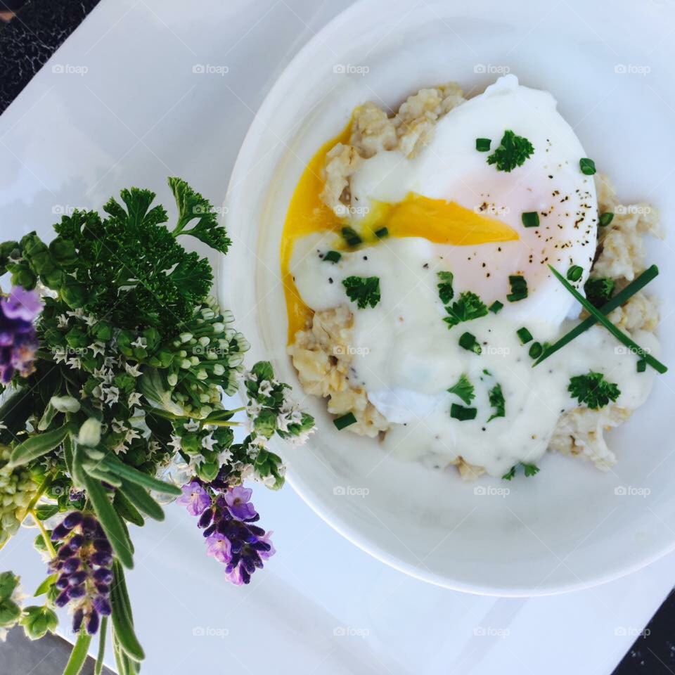 Egg/oatmeal/herbs 