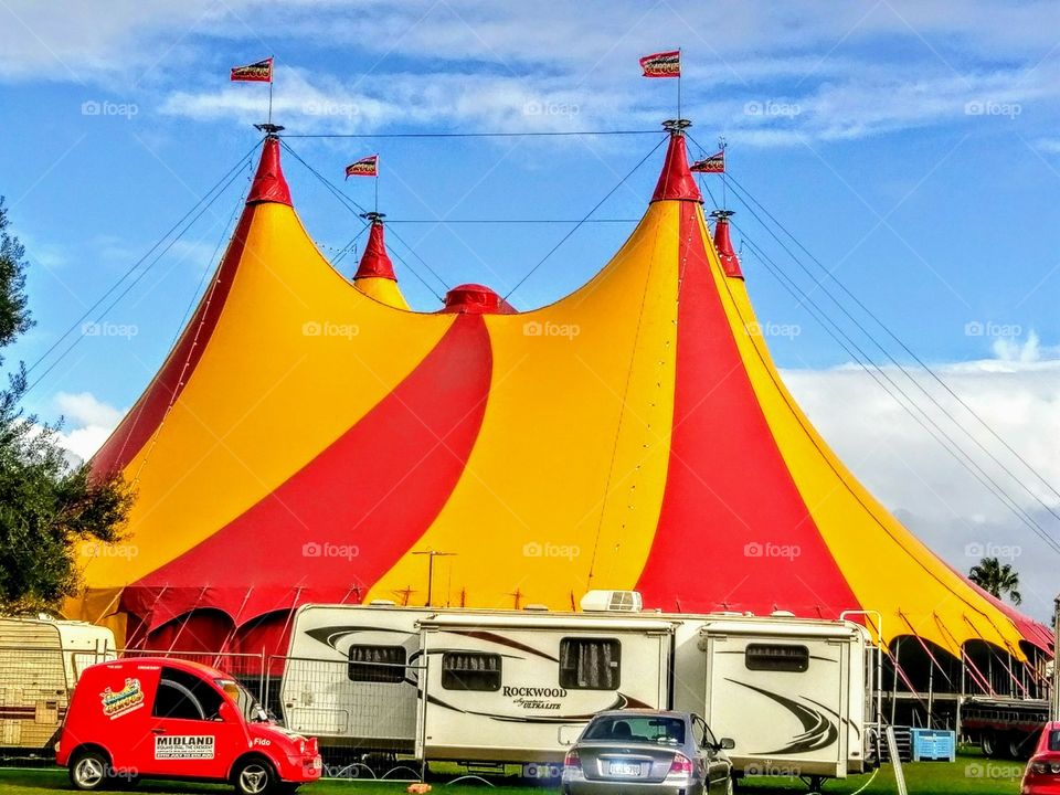 Circus comes to town!