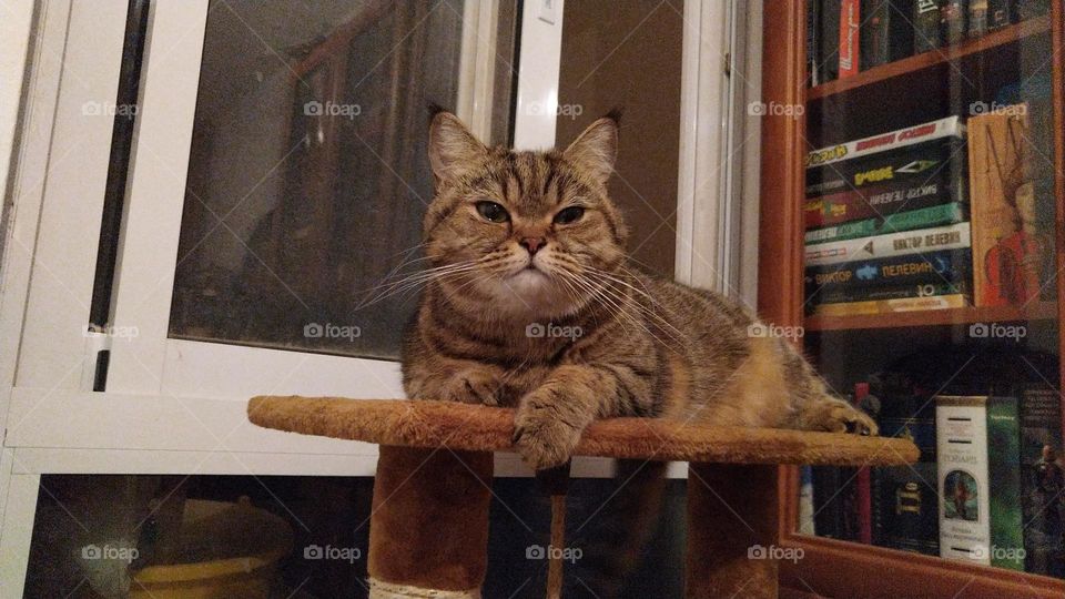 she knows she's a queen