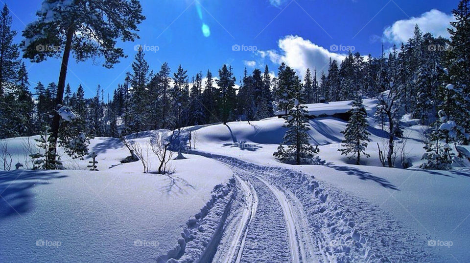 snow winter sky light by peder66