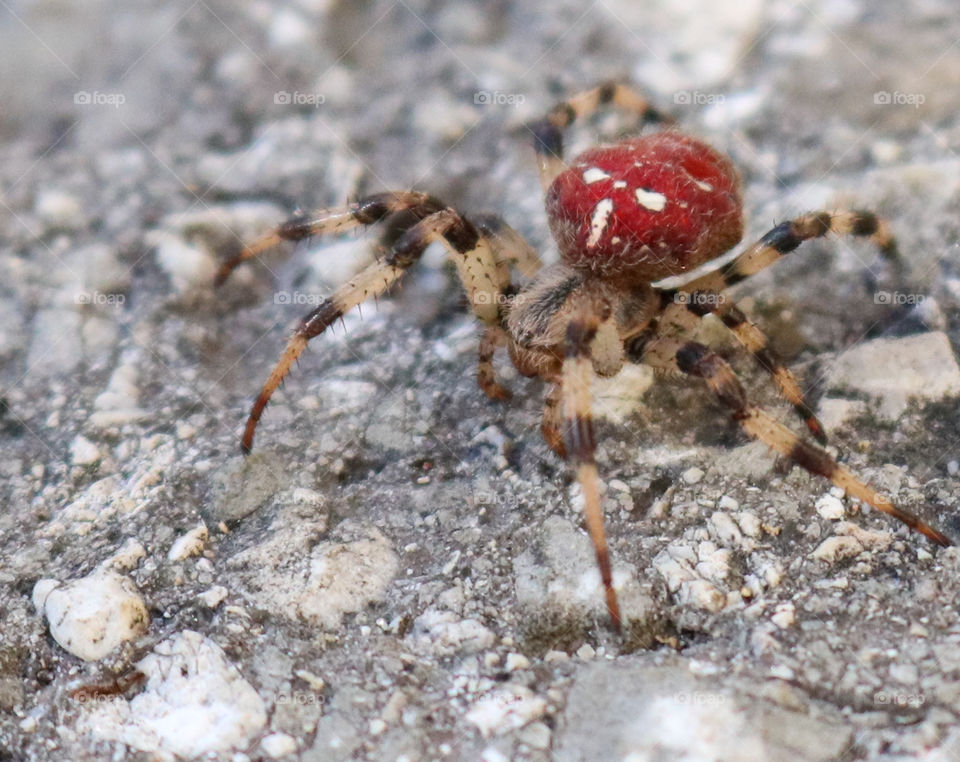 Dangerous and beautiful