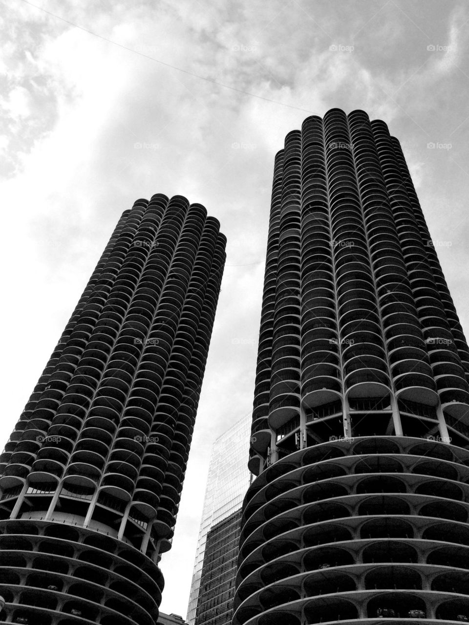 Corn Cobs-Chicago 