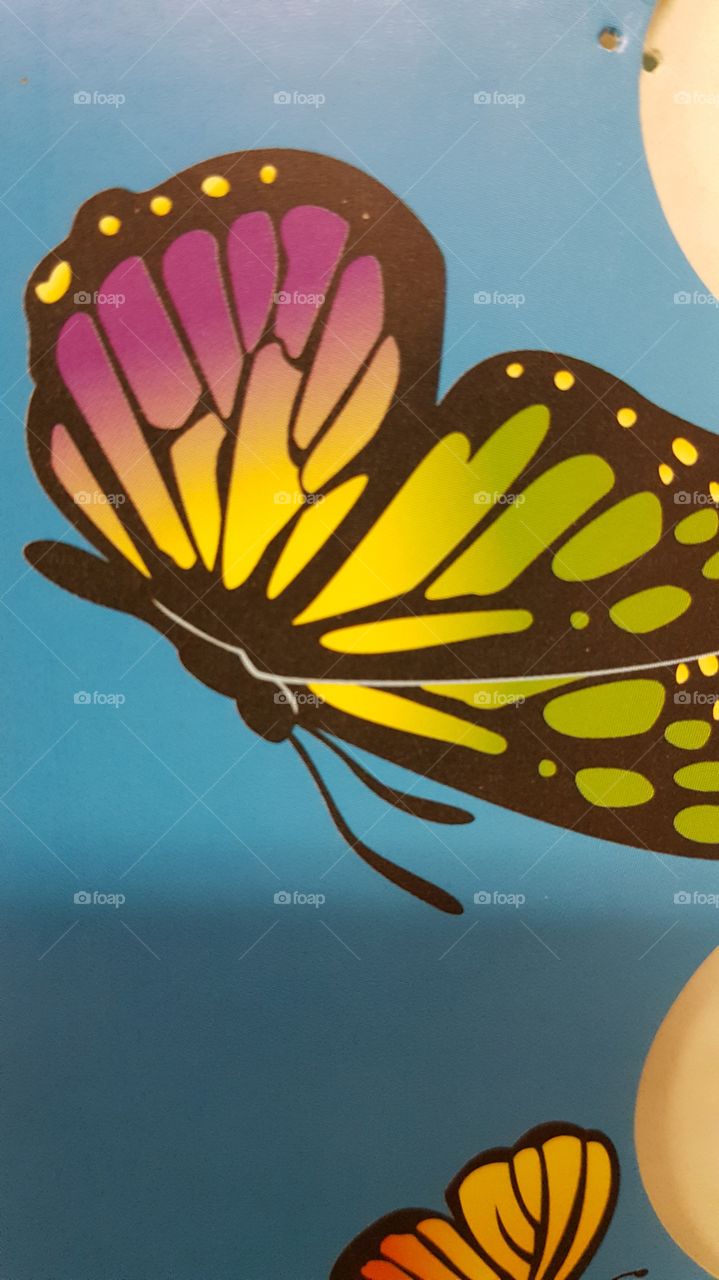 butterfly decoration