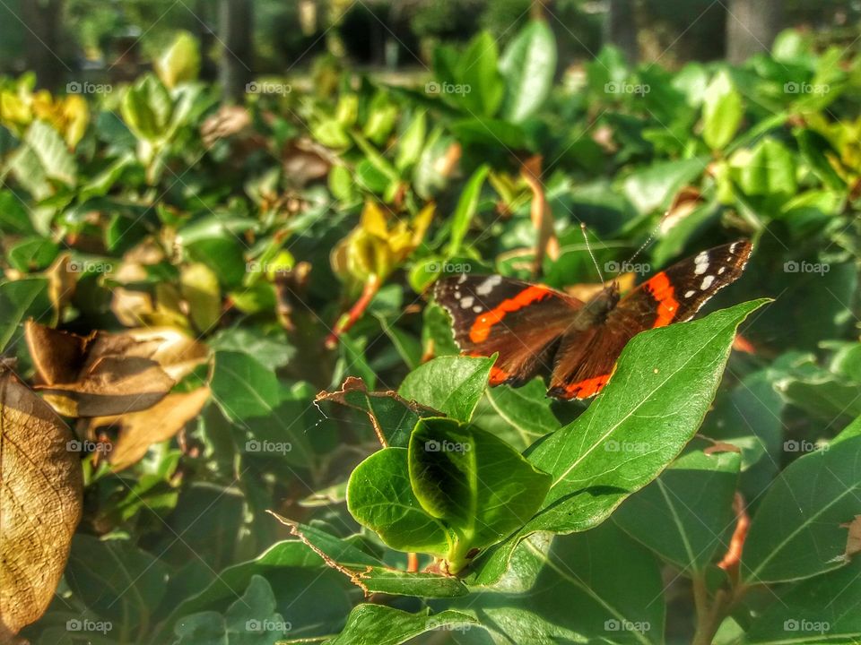 Spring in your arms!