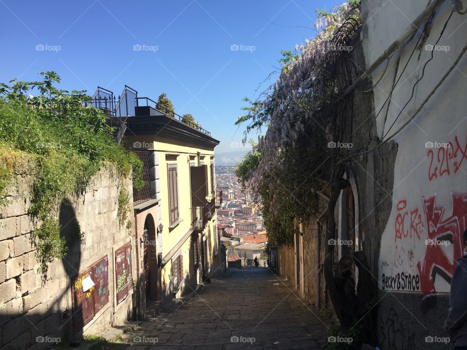 Long steep little road in Italy, with old houses and buildings covered in growing vines. 