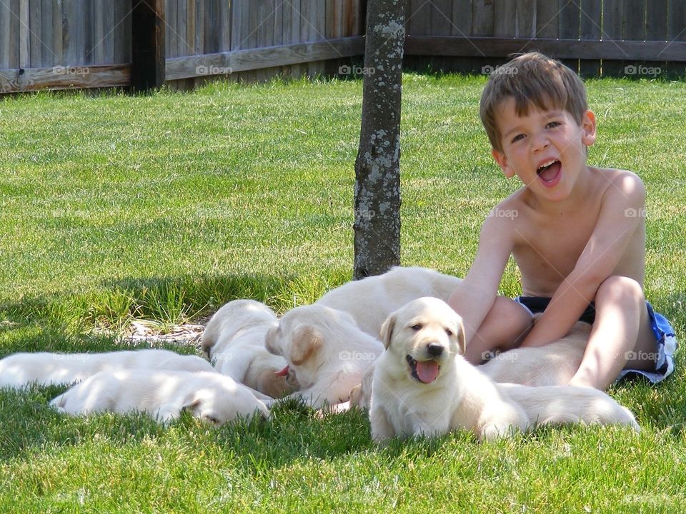 Happy Boy with litter of puppies