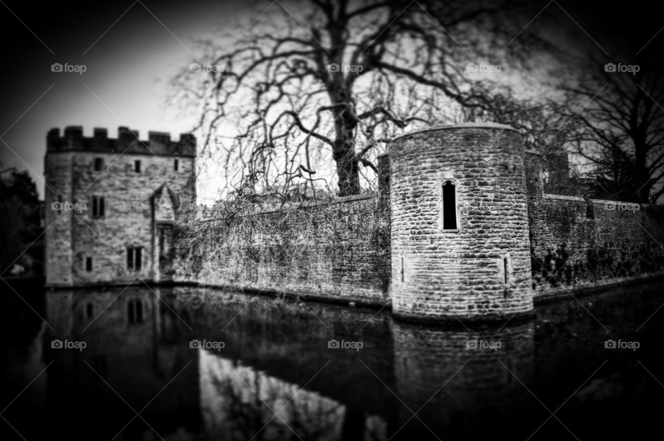 A view from the past 