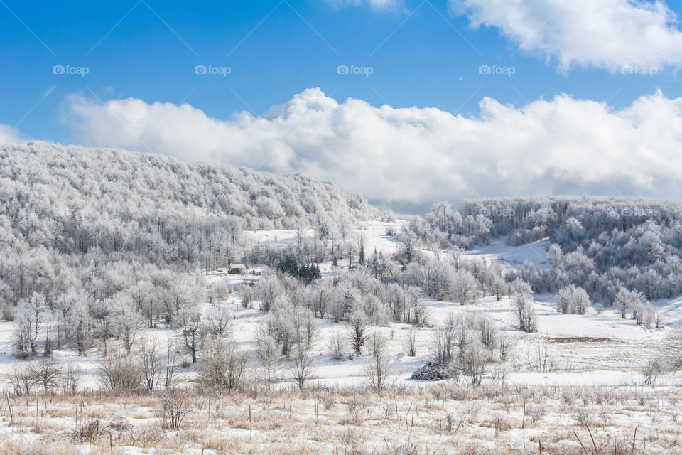 winter landscape, snow, ice, cold