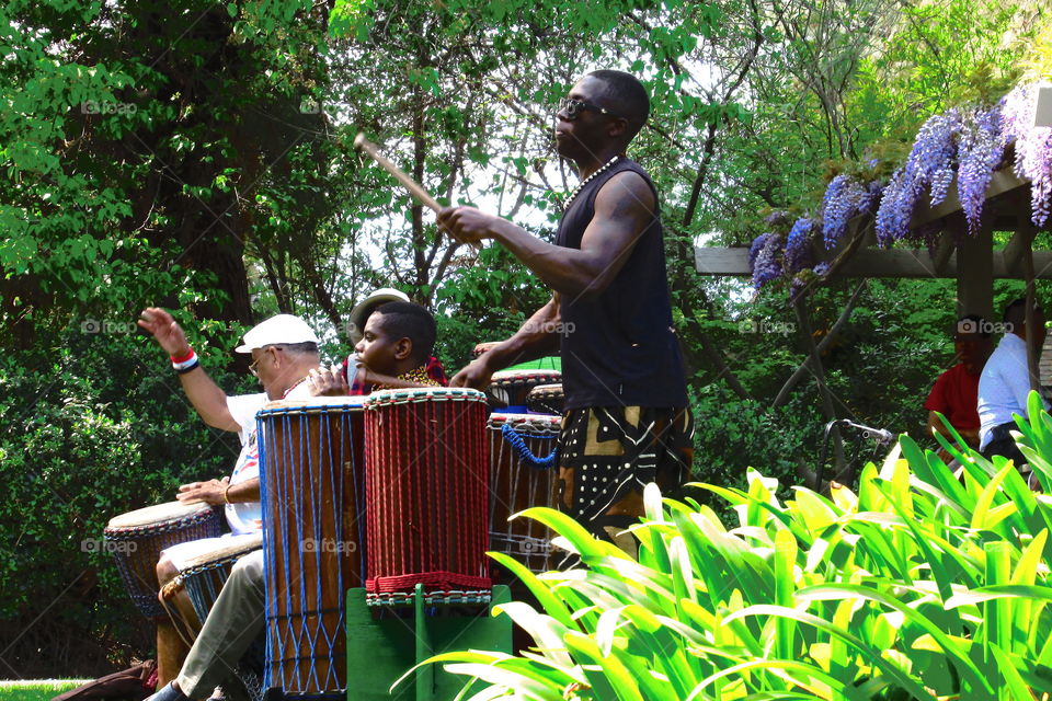 Musicians in the park