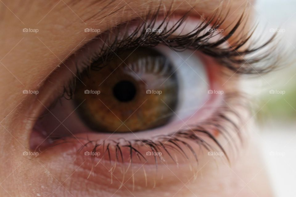 Close-up of human eye