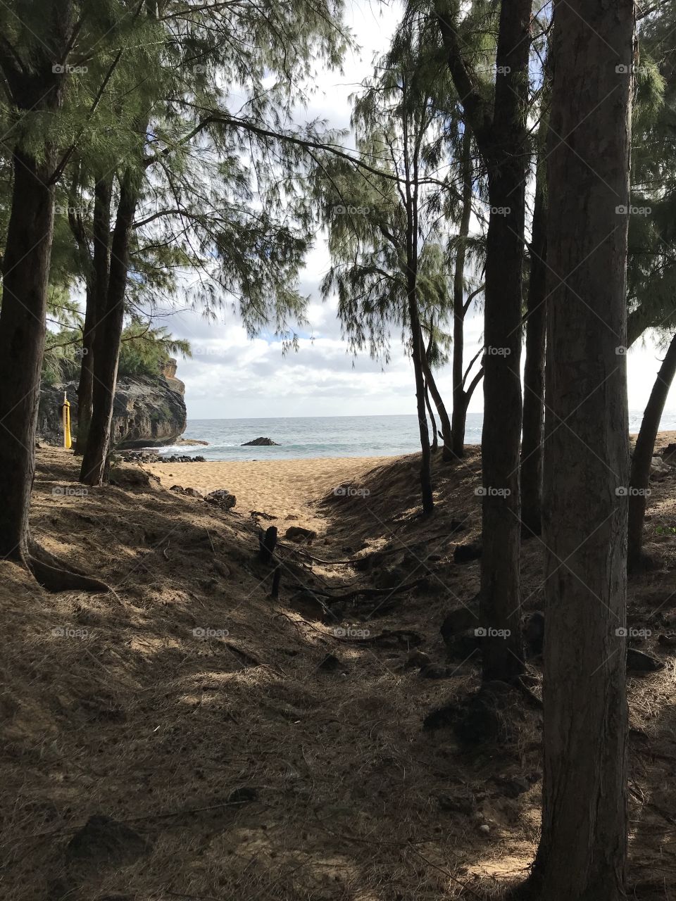 Letting the sunlight in