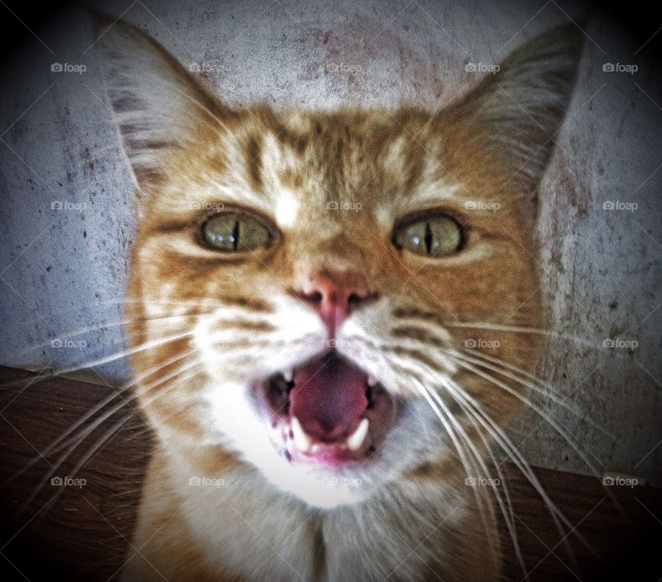 Somewhere ..... over the rainbow