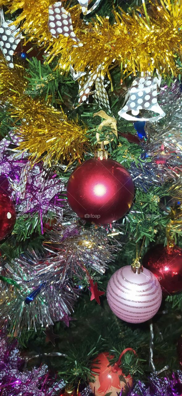 Merry Christmas 🥰