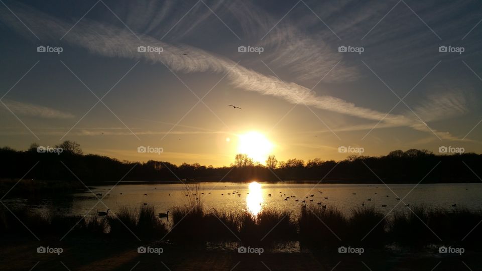 London Park Sunset no filters