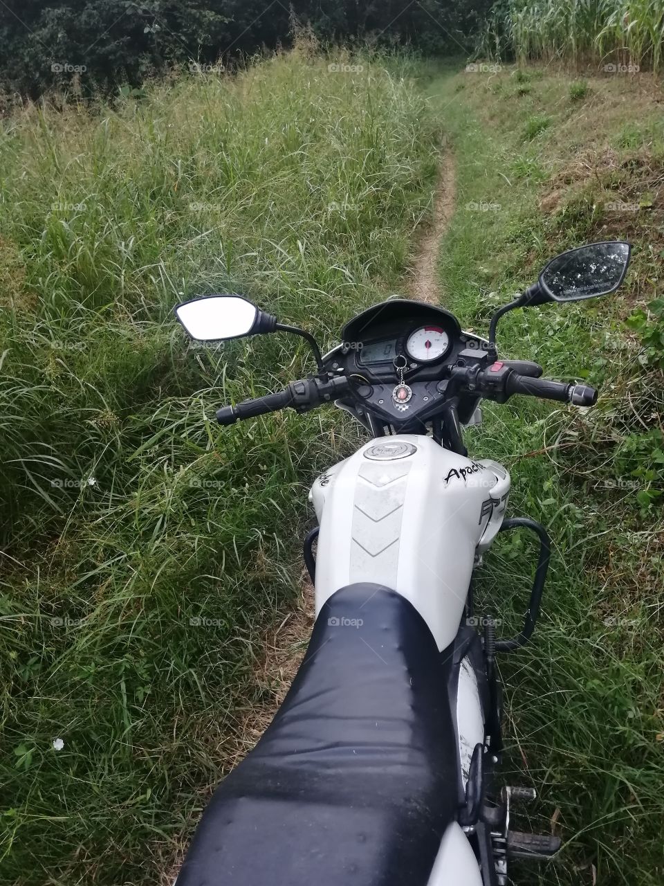 Destination is start from GREENERY.
Motorcycle on the way in green grass.
