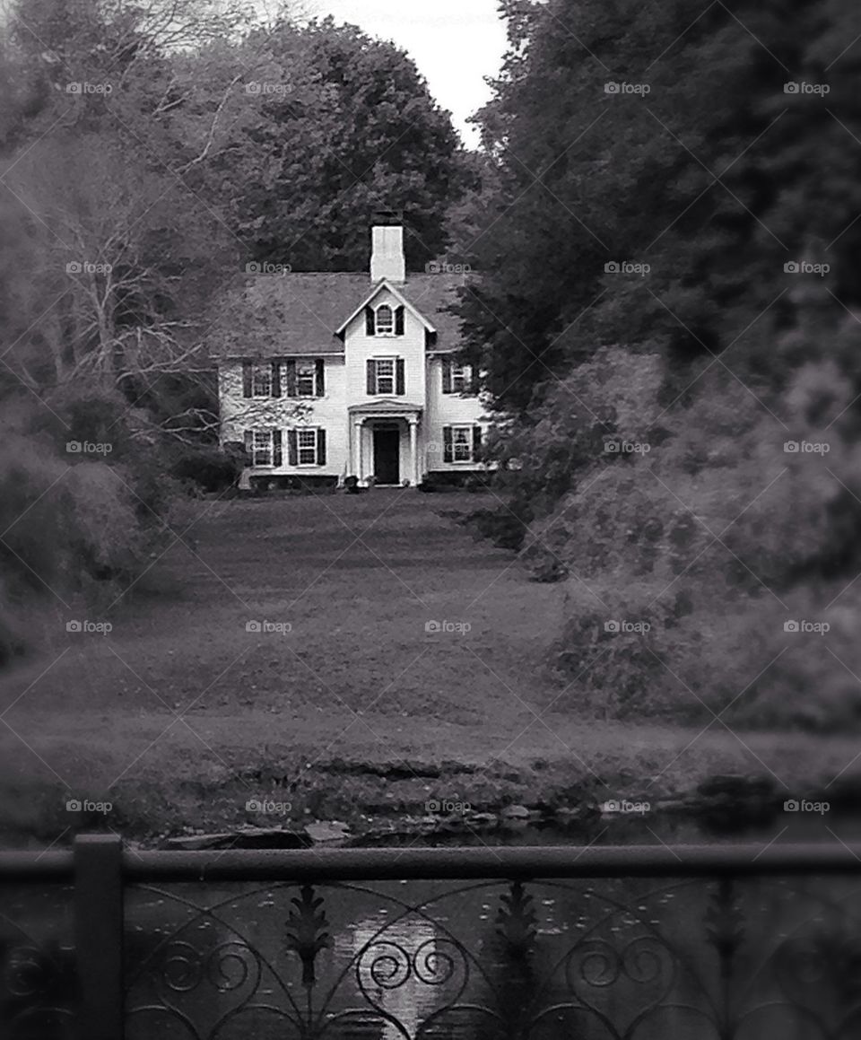 House by the river 