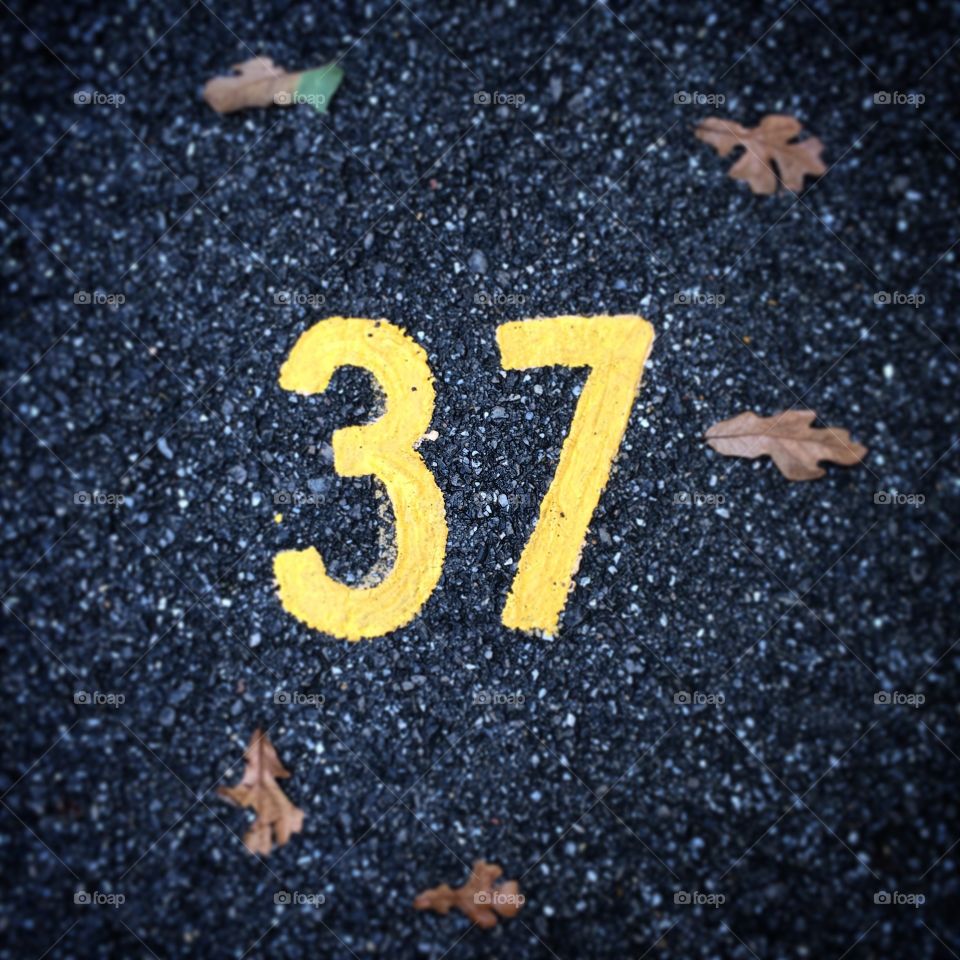 Counting down the days until fall.