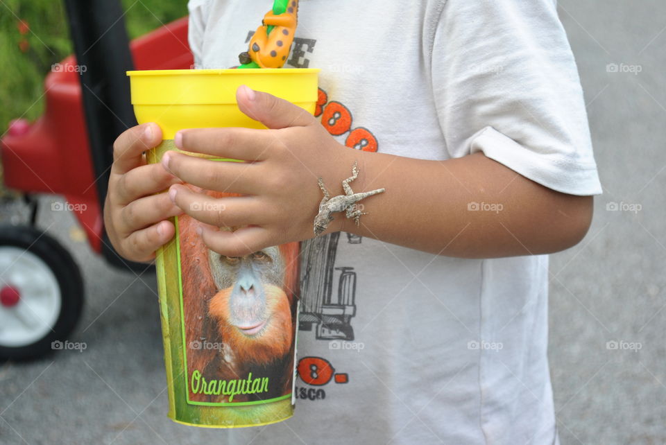 A little gecko crawling on a boy's hand