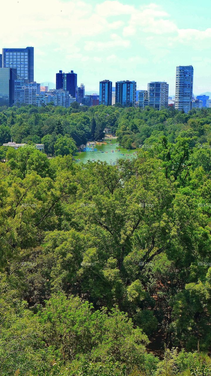 Mexico City skyline