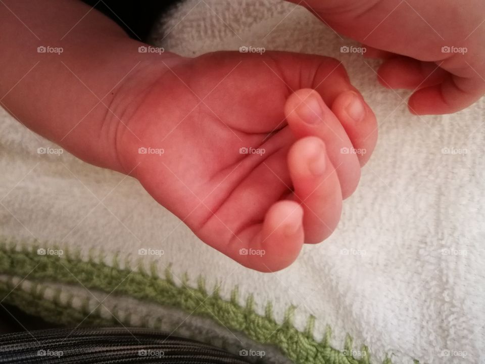 Baby Hand