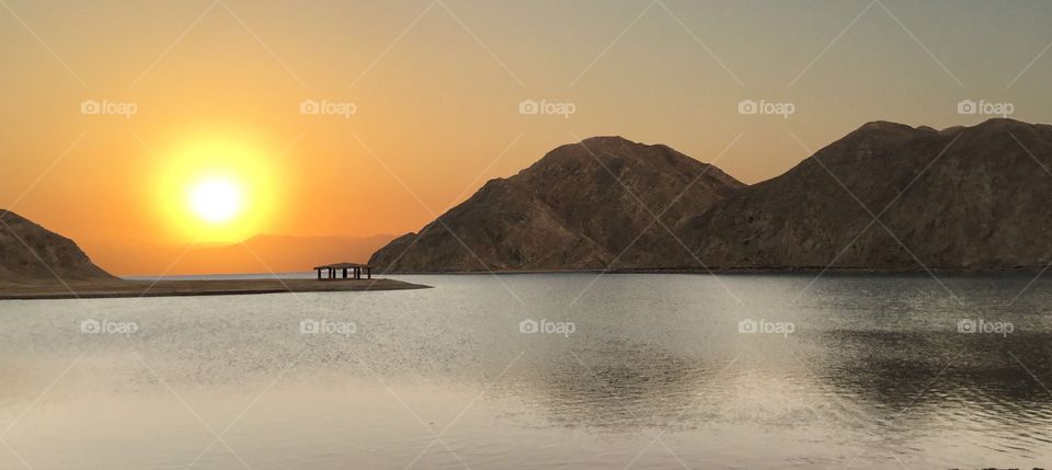 Holly egyptian sunrise