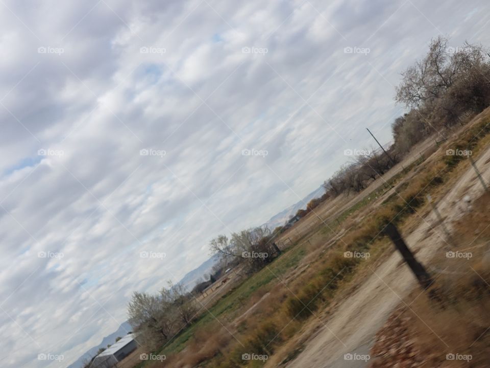 A beautiful field in the fall with a beautiful blue cloudy sky