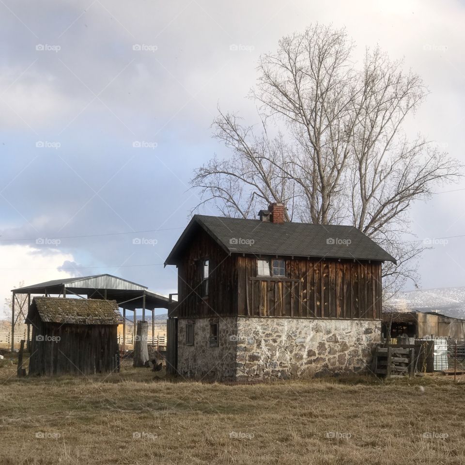 Old farmhouse on rock foundation with bare tree behind it on a winter day in rural  rook County in Central Oregon. 