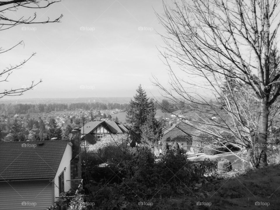Black and white landscape photo of the Fraser Valley 
