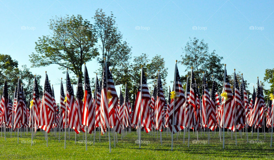 Flags