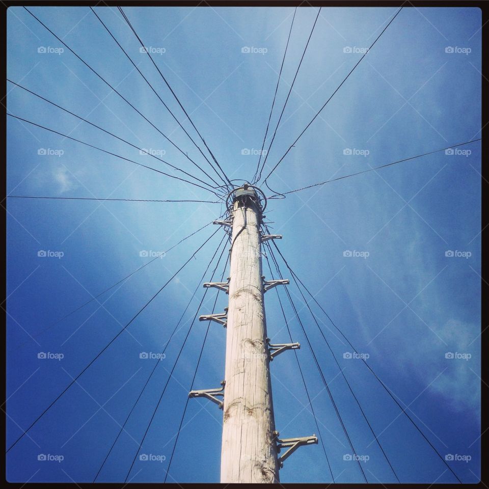 Communication . Telegraph pole against a summer sky