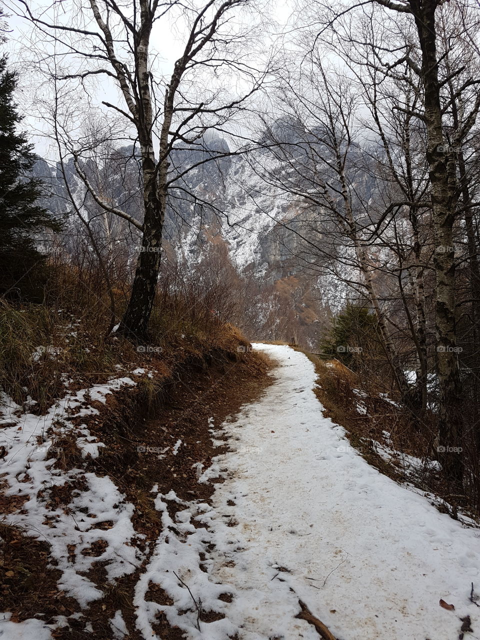Mountain's path