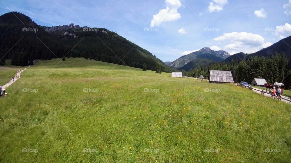 Landscape, Mountain, Grass, No Person, Hill