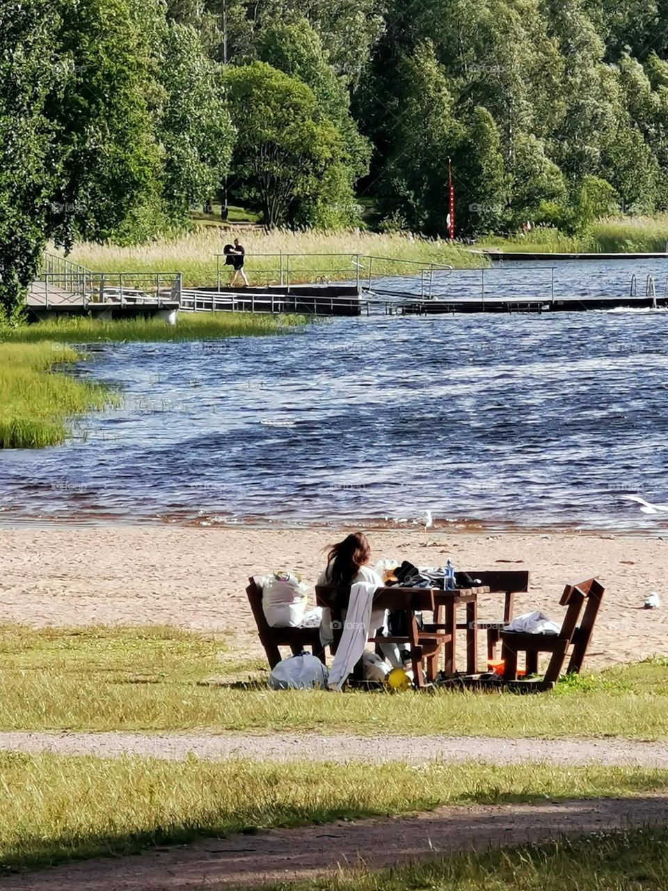 Windy summer day by the lake