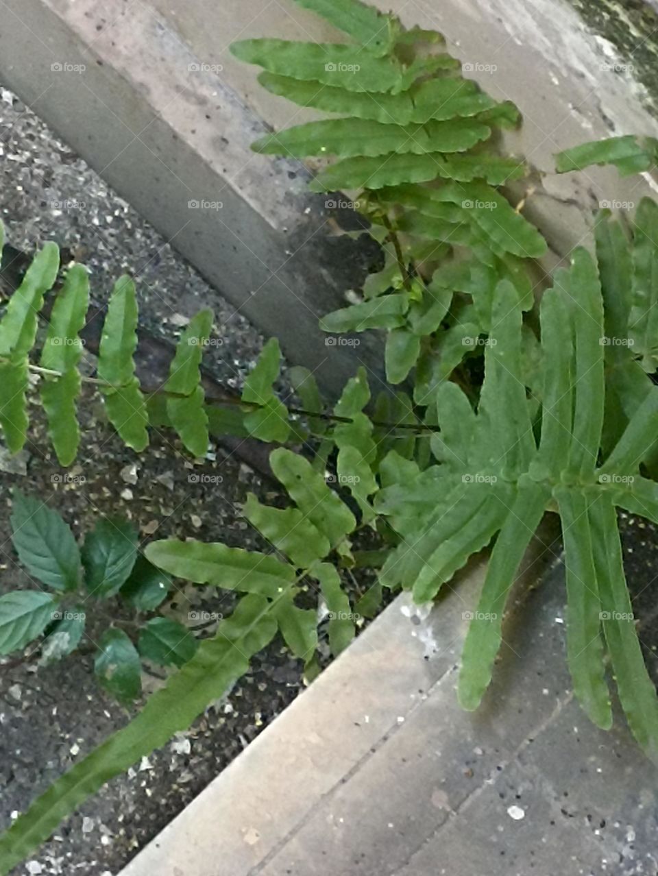 nature has no boundaries